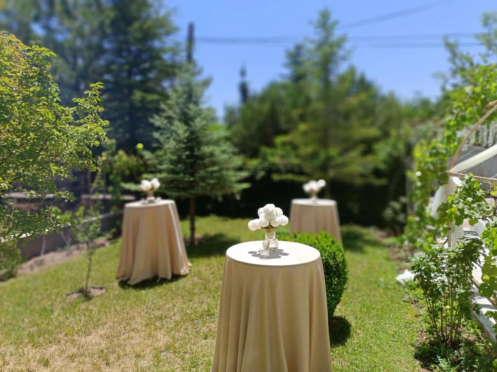 Lake ve Örtülü Bistro (Kokteyl) Masaları gerçek ürün fotoğrafı 6